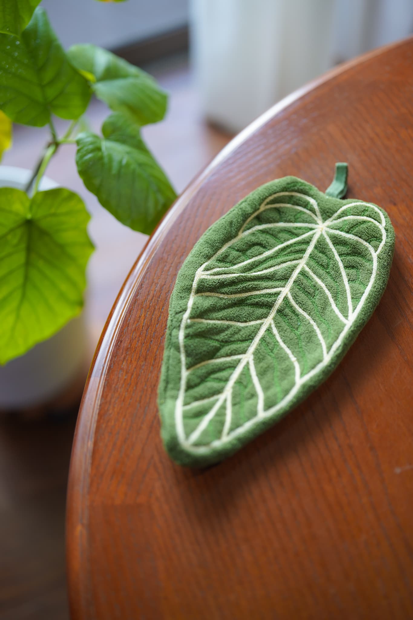 観葉植物モチーフのタオルで暮らしにグリーンを｜Daily Botanical Towel レビュー