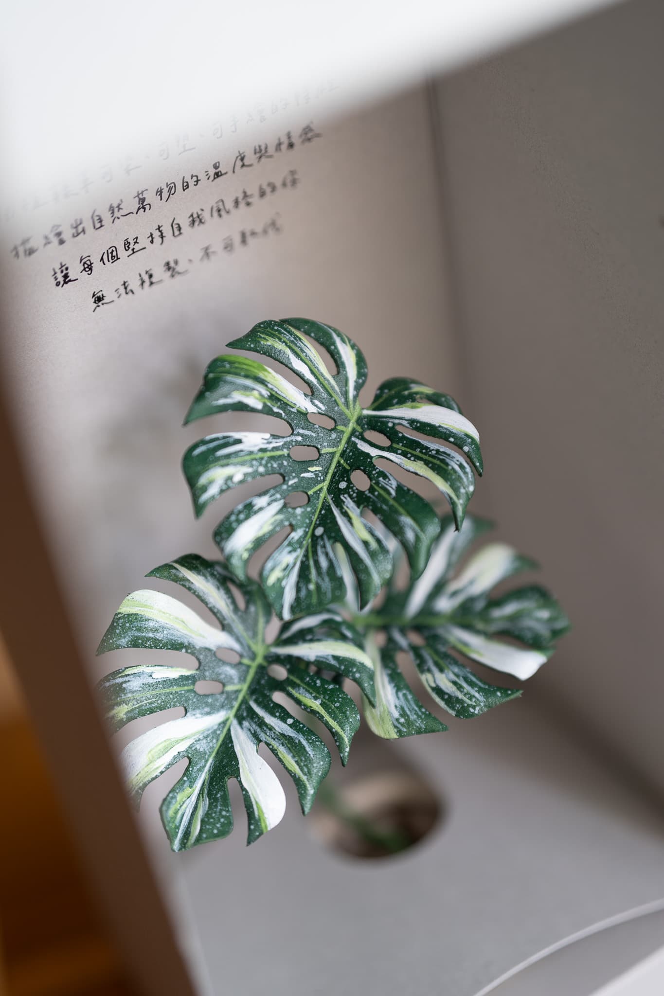 植物好きへの1万円以上ギフト｜特別な日に贈る本格プレゼント5選