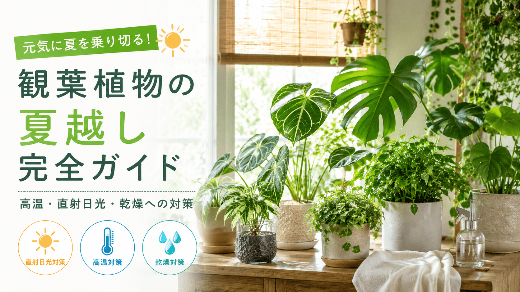観葉植物の夏越し完全ガイド｜高温・直射日光・乾燥への対策