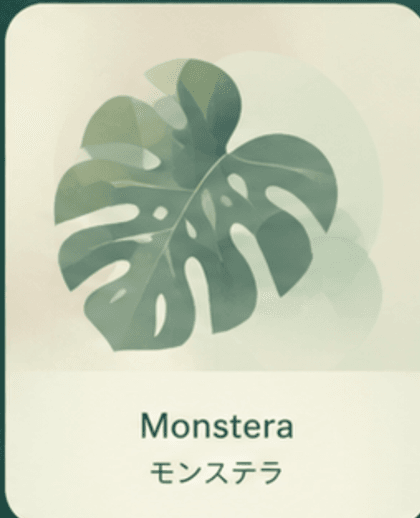 Monstera