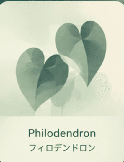 Philodendron