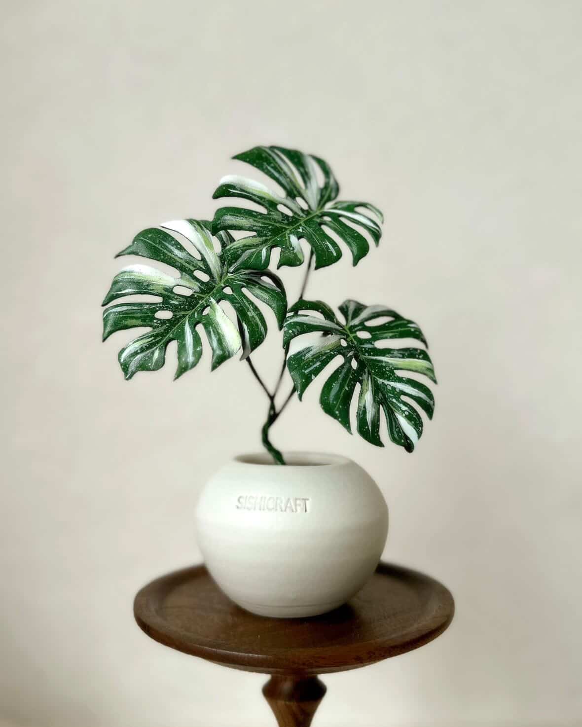Leather Botanical Collection｜SISHICRAFT × tokyoplants
